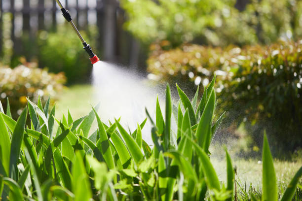 Tamper-Resistant Bait Stations for Rodents in Maytown