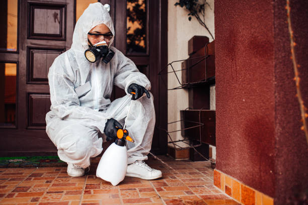 Attic and Crawl Space Rodent Treatment in Maytown