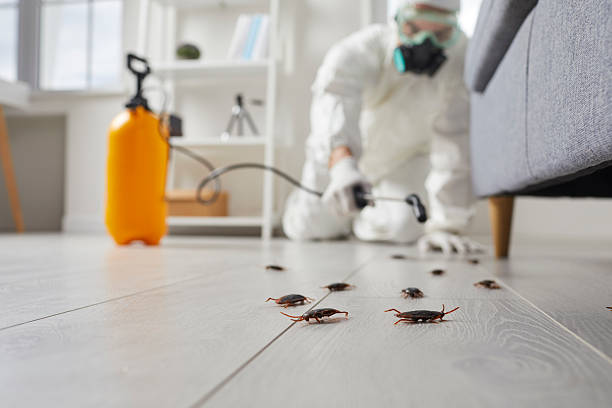Commercial Rodent Management in Maytown